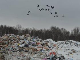 Проект мусоросортировочного завода в Красноуфимске не прошел госэкспертизу