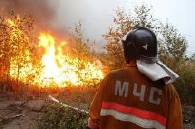 Спасатели предупреждают: «В красноуфимских лесах опасно отдыхать из-за пожаров»