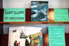 В центральной библиотеке открылась выставка «Бежит родник по камушкам»